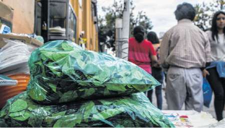 El coqueo, sus precios, los salteños y un comercio prohibido