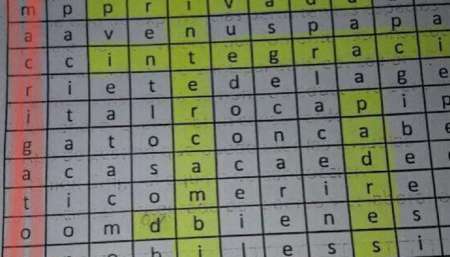 Escándalo: Un profesor le dio a sus alumnos un crucigrama con la frase "Macri gato"