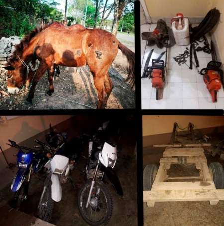 Rescatan a caballos explotados y maltratados tras el robo en una finca en el Norte