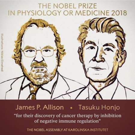 Nobel de Medicina: Allison y Honjo, elegidos por sus avances contra el cáncer