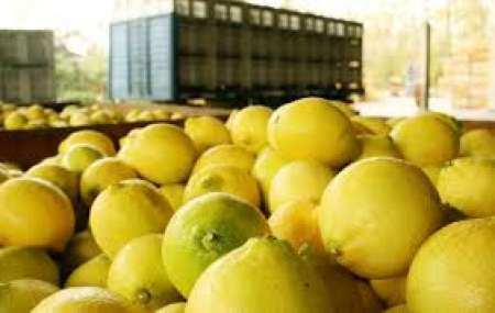 Donald Trump dijo que "considerará seriamente" el acceso de limones argentinos al mercado estadounidense