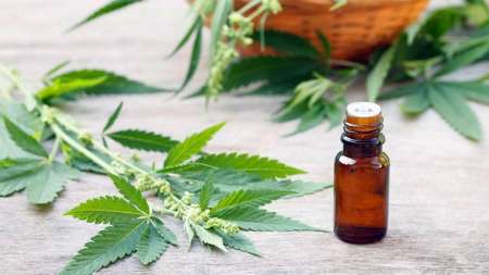 El Hospital Garrahan comenzará a hacer ensayos con cannabis medicinal