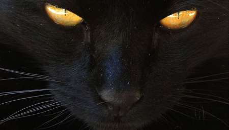 Hoy es martes 13, una fecha que algunos temen, otros respetan y nadie pasa por alto