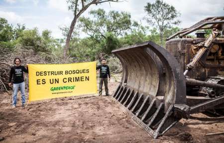 Multan al empresario Braun Peña por deforestar bosques en Salta