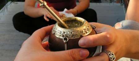 ¿Sabés cuántos litros de mate consumís al año y cómo te beneficia?