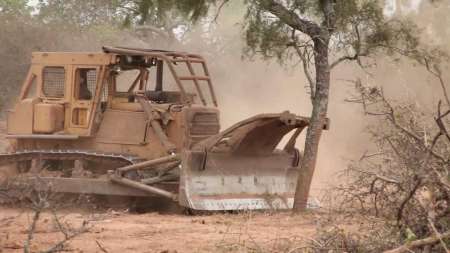 Por desmonte ilegal, condenaron a un productor a reforestar 11 mil hectáreas en Salta