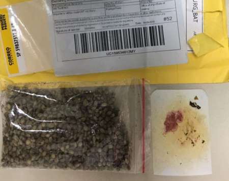 Dealer mandaba la droga por correo privado
