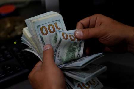 El dolar arranca el año en alza y con nuevas bandas de flotación