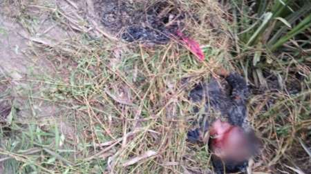 Queman vivo a un ladrón