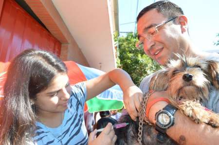 Servicio municipal de castraciones y vacunaciones durante este mesa