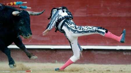 Toro "clavó" por detrás a matador y acabó hiriéndolo de gravedad