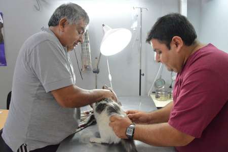 Quirófanos móviles: recorrido de barrios para la próxima semana