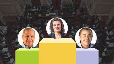 Palabras más, palabras menos: ¿cómo fue la participación de los senadores salteños en el Congreso?